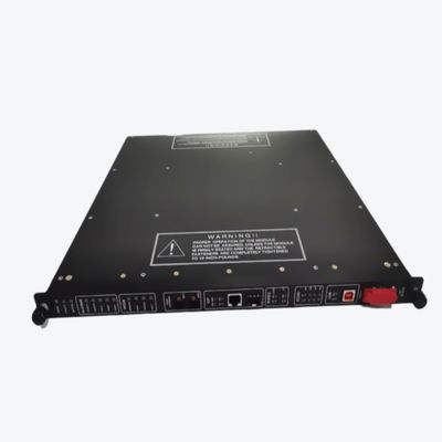 3625 トリコネックス DCS インベンシス トリコーン デジタル出力モジュール 24VDC